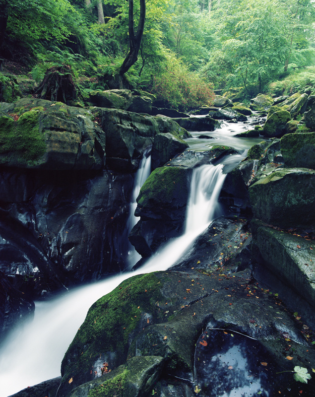 Ballaglass in Summer - Manx National Glens