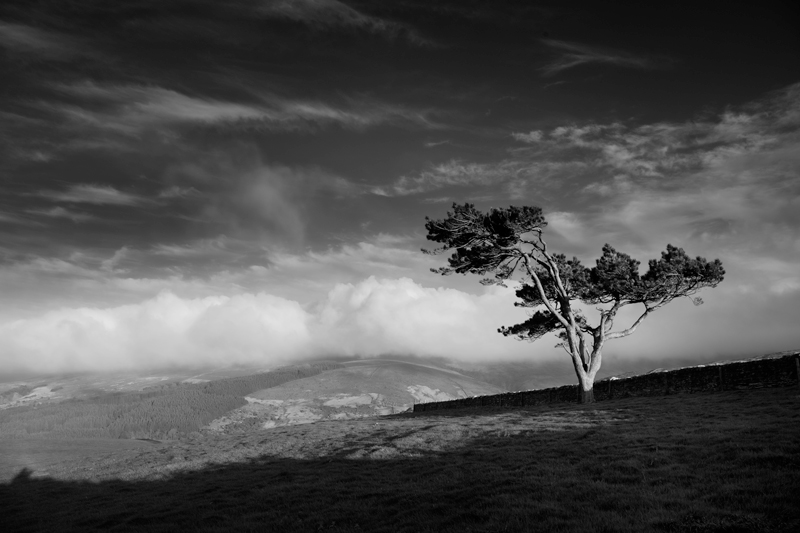 On the Sunny Side - Mann in Mono