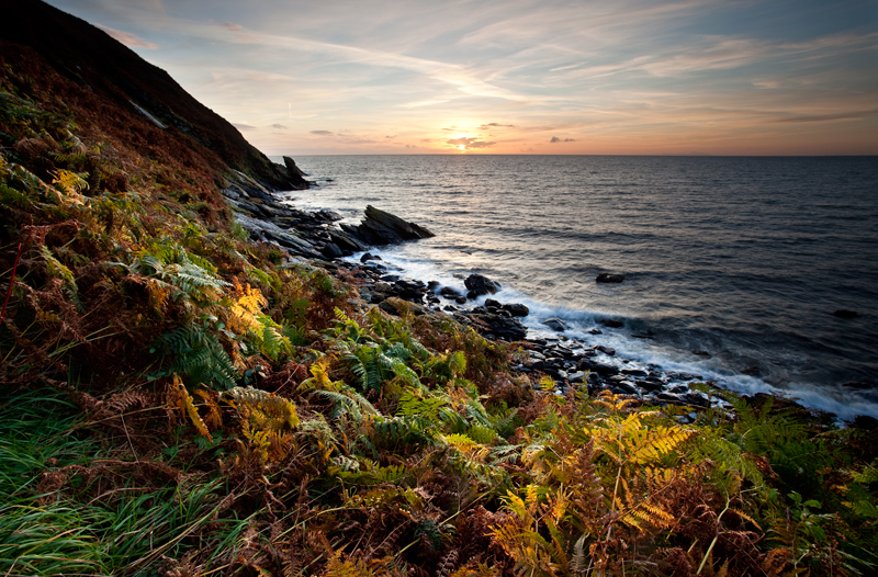 Sunset Ferns - Isle of Man Seascapes/Coastal