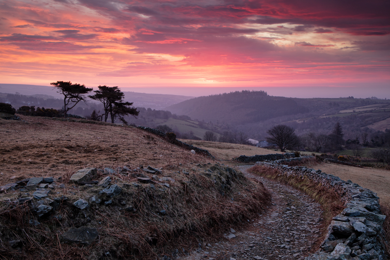Up with the Lark - Isle of Man Landscapes