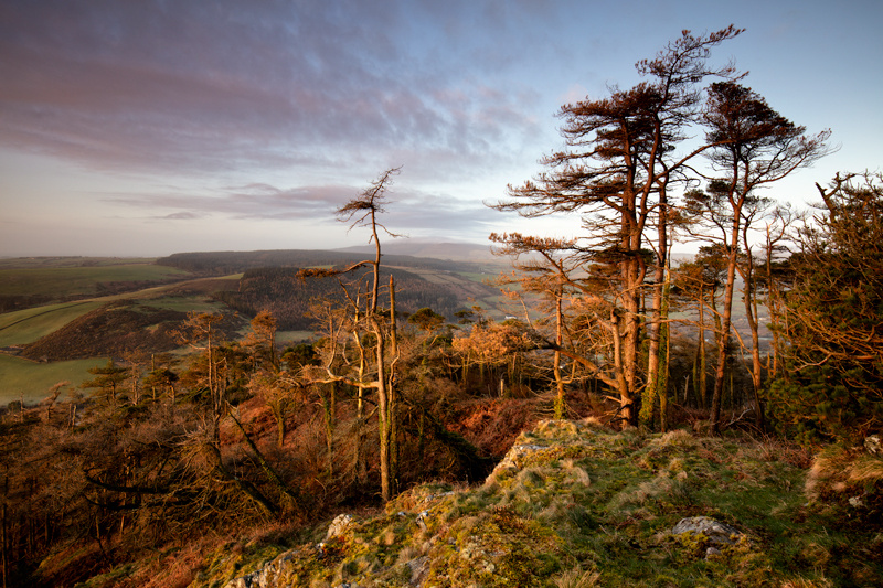 Labour of Love - Isle of Man Landscapes