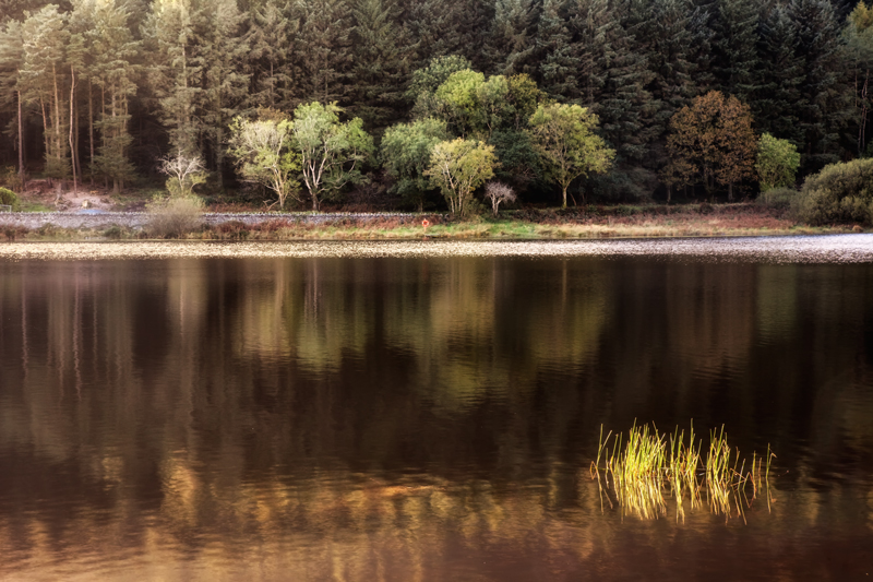 Across The Pond - Isle of Man Landscapes
