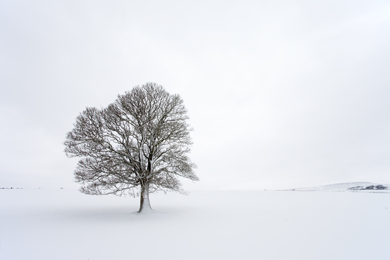 Standing Firm - Isle of Man Landscapes