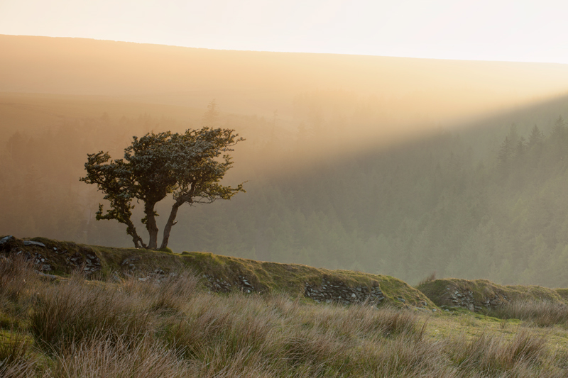 Under the spotlight - Isle of Man Landscapes