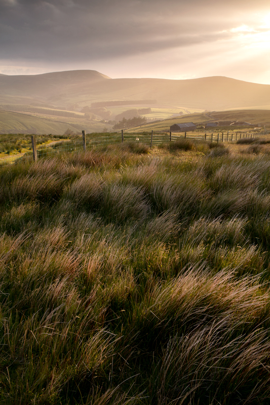 Light in the Dale - Isle of Man Landscapes