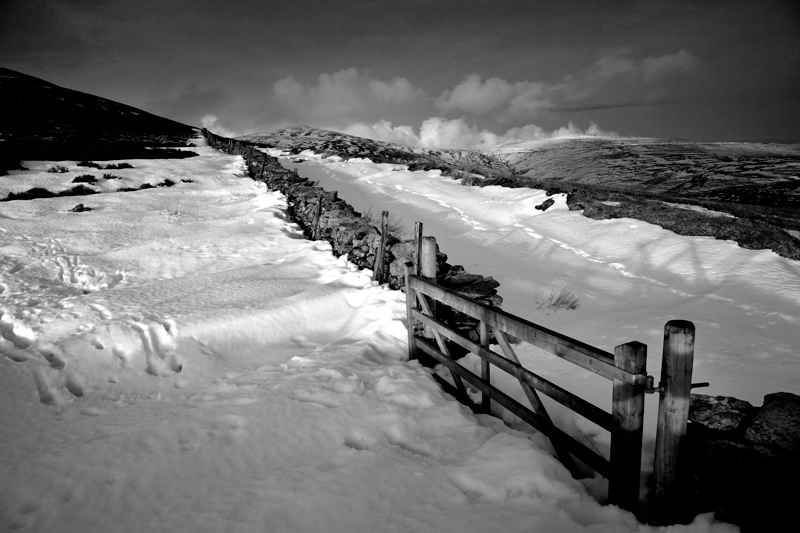 Snow Way - Mann in Mono