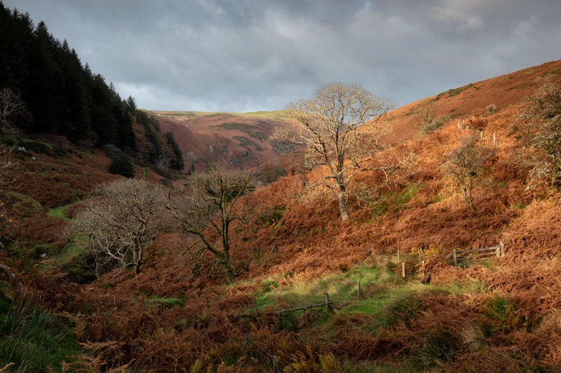 Gateway to the Glen - Isle of Man Landscapes