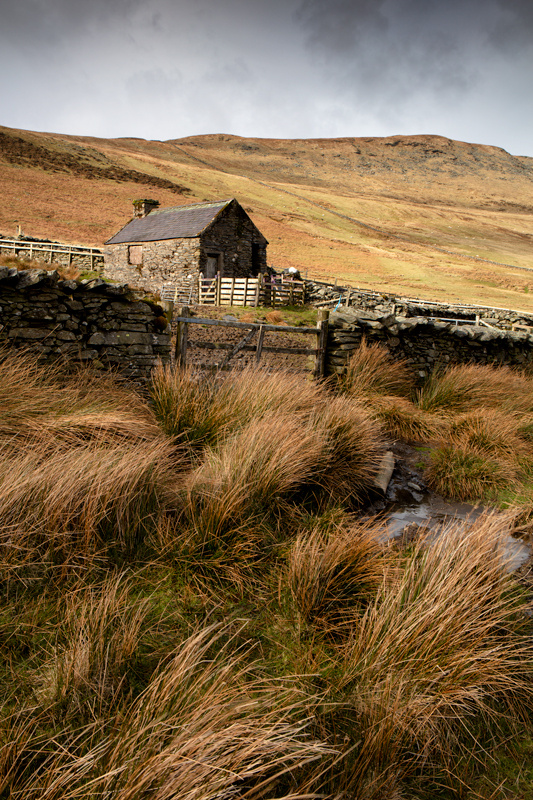 In the shelter of the Valley - Isle of Man Landscapes