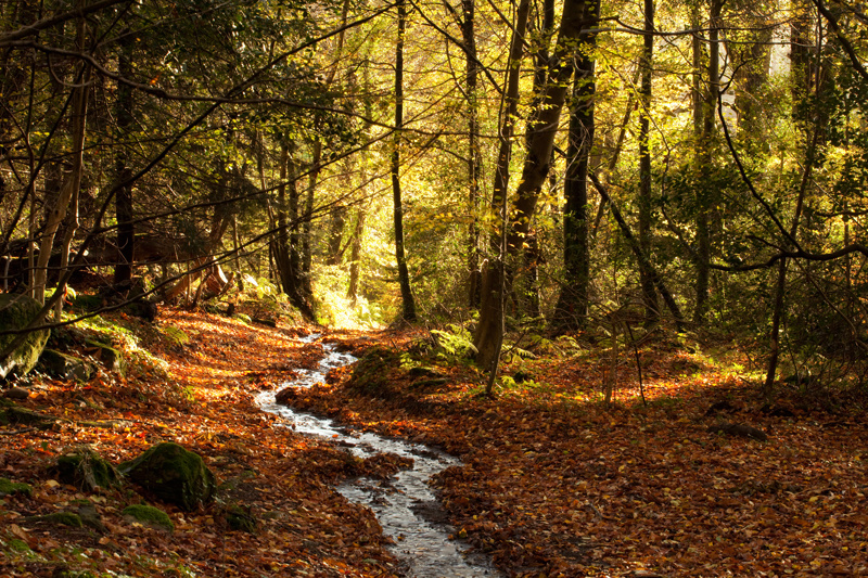 The path of least resistance - Manx National Glens