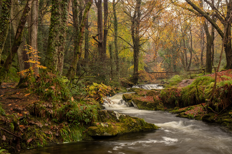 Let it rain - Manx National Glens