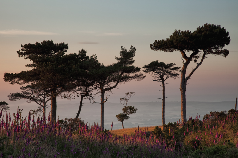 Naturally Framed - Isle of Man Landscapes