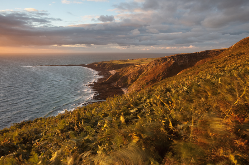Blowing Bracken - Isle of Man Seascapes/Coastal