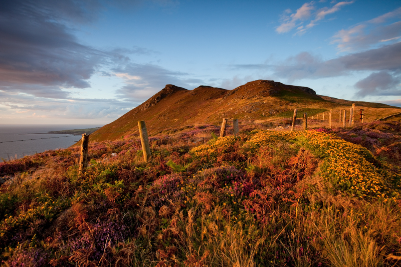 Summer Colours - Isle of Man Landscapes