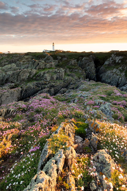 Waves of Colour - National Landmarks