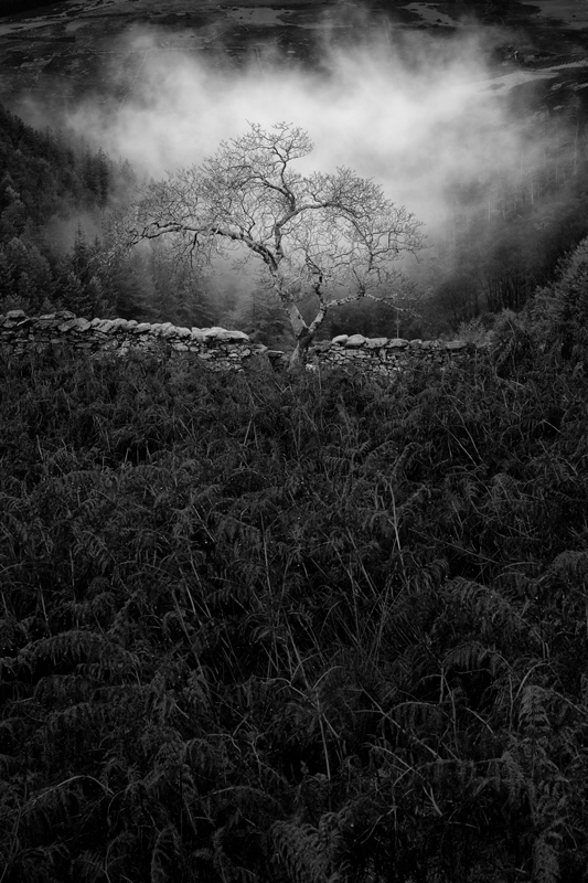 On days like this.... - Mann in Mono