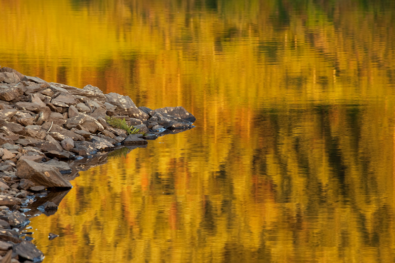 Liquid Gold - Isle of Man Landscapes