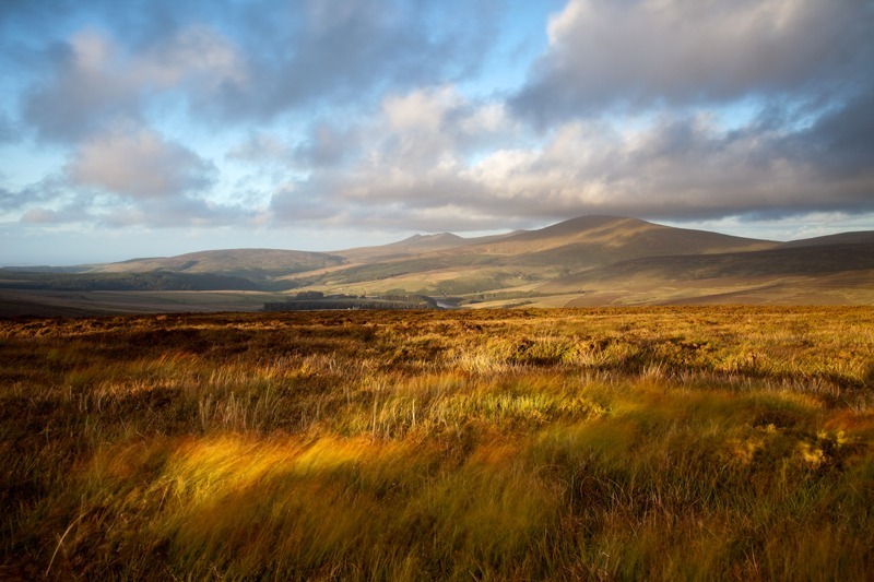 Across the Dale - Isle of Man Landscapes