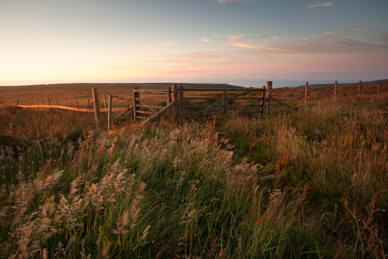 Golden Gates