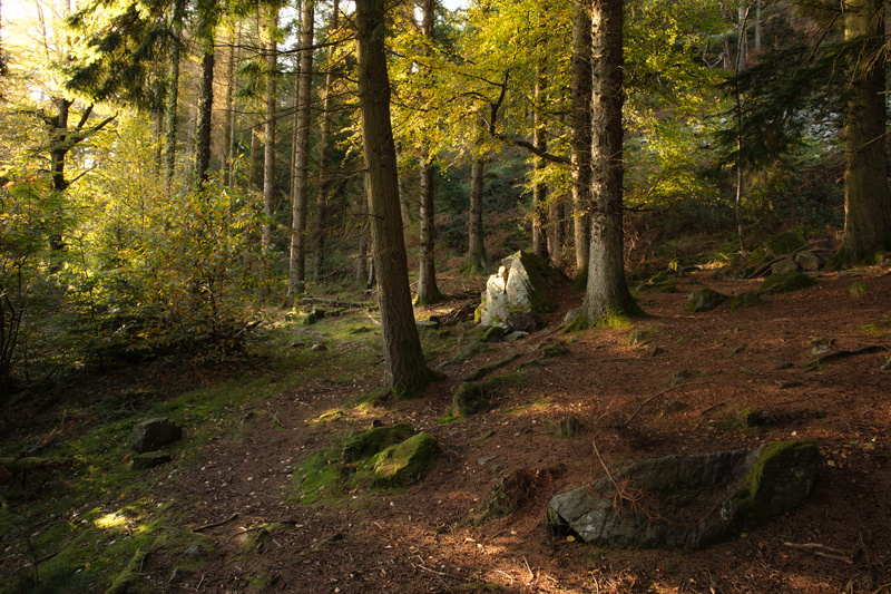 In The Autumn Light - Isle of Man Landscapes