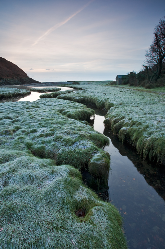 Frosted Grass - Isle of Man Landscapes