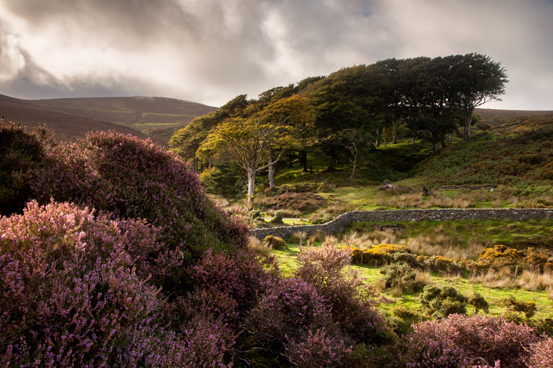 A Splash of Light - Isle of Man Landscapes