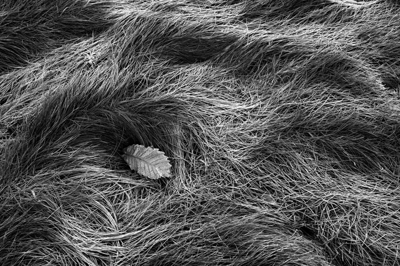 Trapped - The Isle of Man Close Up