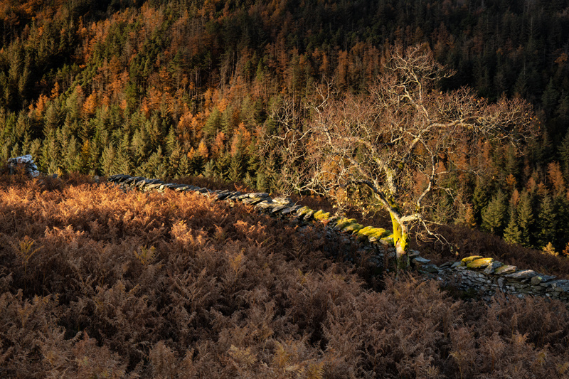 Heading into Winter - Isle of Man Landscapes
