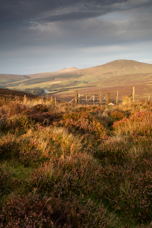 Into the Dale - Isle of Man Landscapes