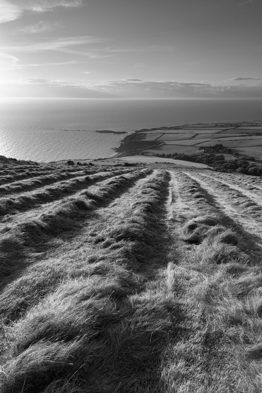 The hay maker - Mann in Mono