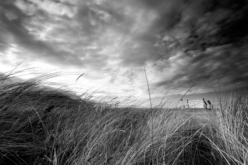 The Ayres - Mann in Mono