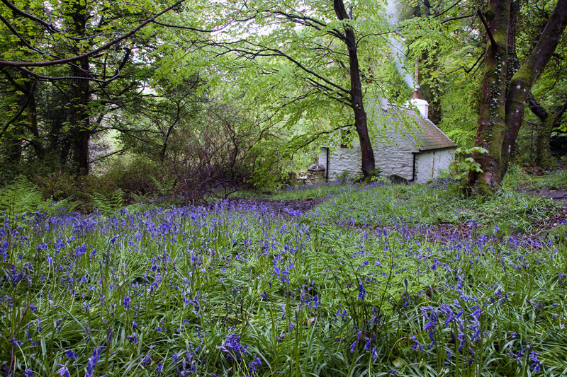 No. 1 Ballaglass Glen - Manx National Glens