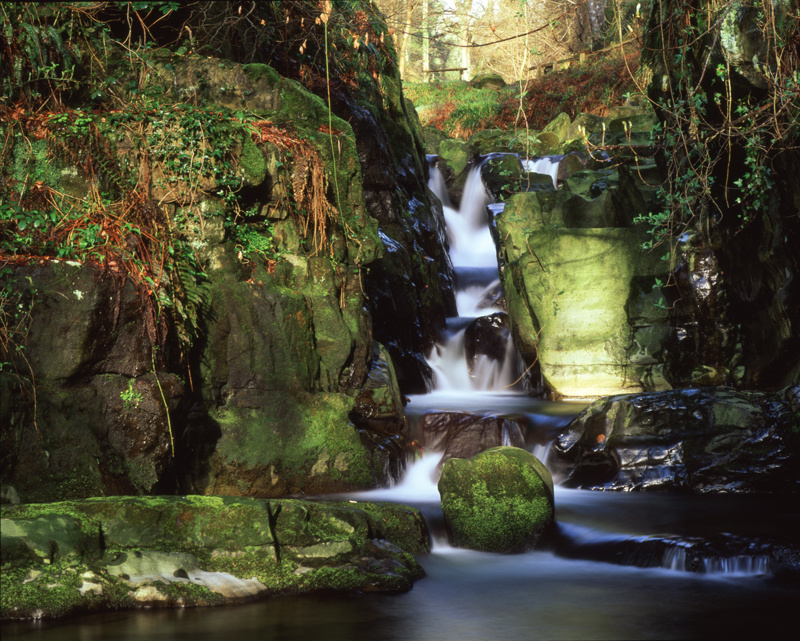 Ballaglass in Spring - Manx National Glens