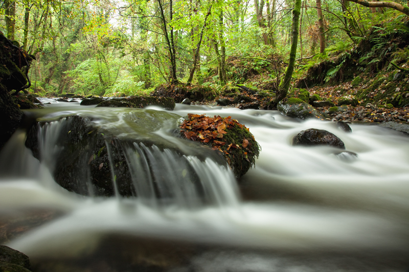 Smooth Runs the Water - Manx National Glens