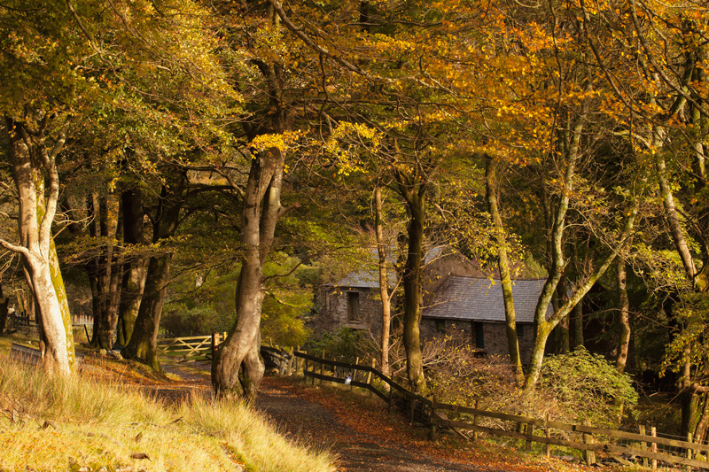 Classic Injebreck - Isle of Man Landscapes