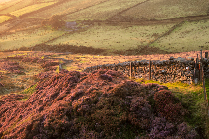 The Last Days of Summer - Isle of Man Landscapes