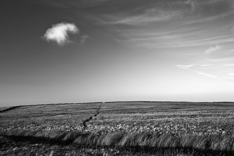 Lonely Cloud - Mann in Mono