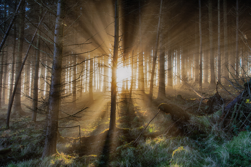 Head for the Light - Isle of Man Landscapes