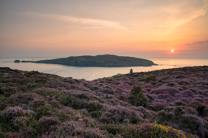 The Summer Calf - Isle of Man Seascapes/Coastal