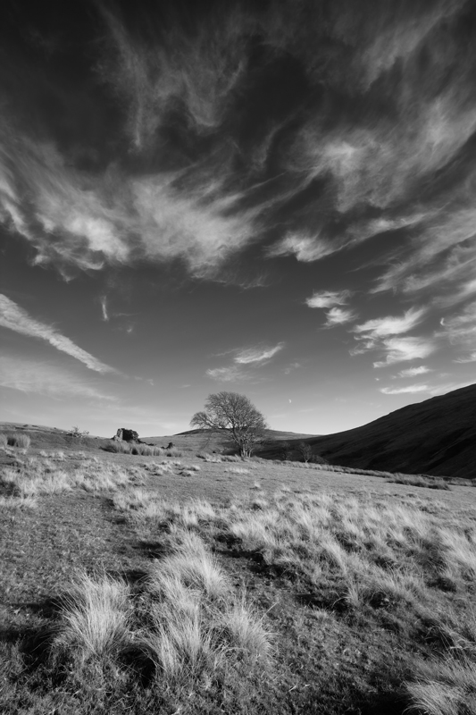 Tufts - Mann in Mono
