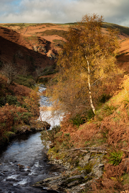 The Glen - Isle of Man Landscapes