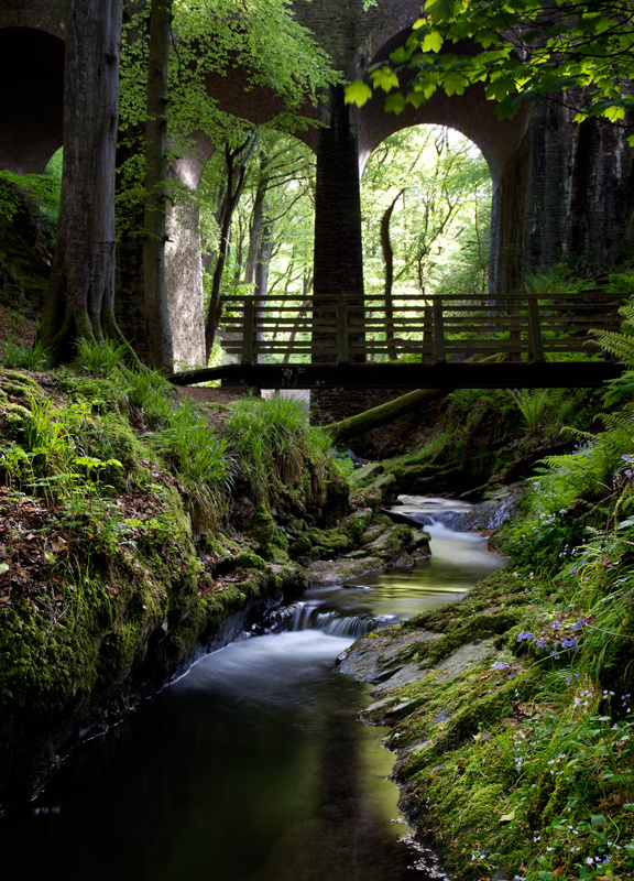 Through The Arches - Manx National Glens