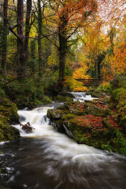 Autumn Kaleidoscope - Manx National Glens