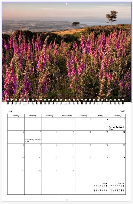 2025 Calendar - 2025 Calendar