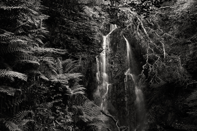 Welcome to the Jungle - Mann in Mono