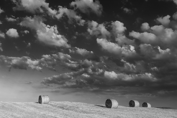 The Leading Edge - Mann in Mono