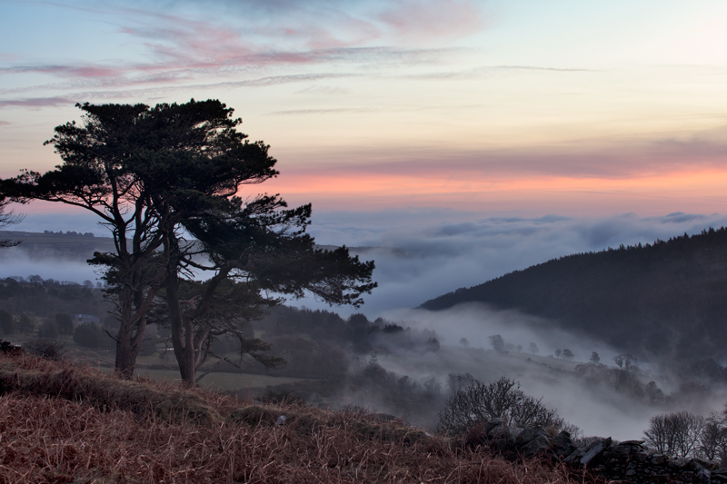 Glen Roy Through the Mist