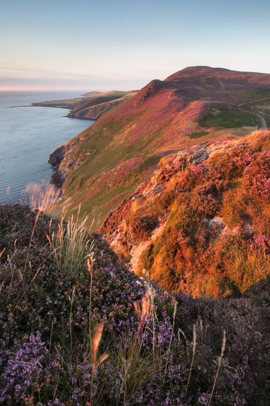 Heather Hues - Isle of Man Seascapes/Coastal