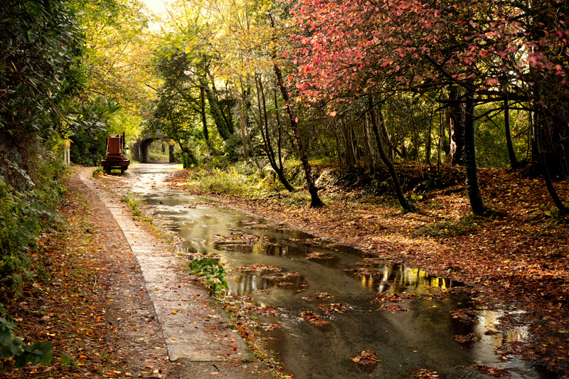 Happy Trails - Isle of Man Landscapes