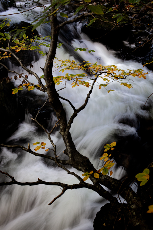 The Cornaa River - Isle of Man Landscapes