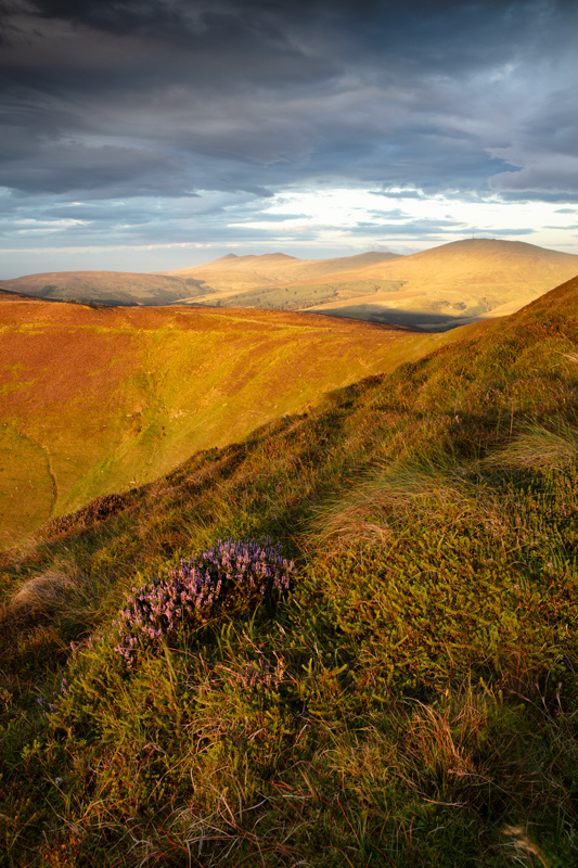 The Little Patch - Isle of Man Landscapes